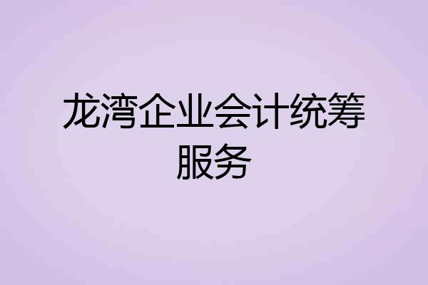龙湾企业会计统筹服务