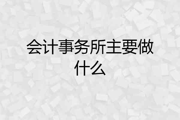 会计事务所主要做什么