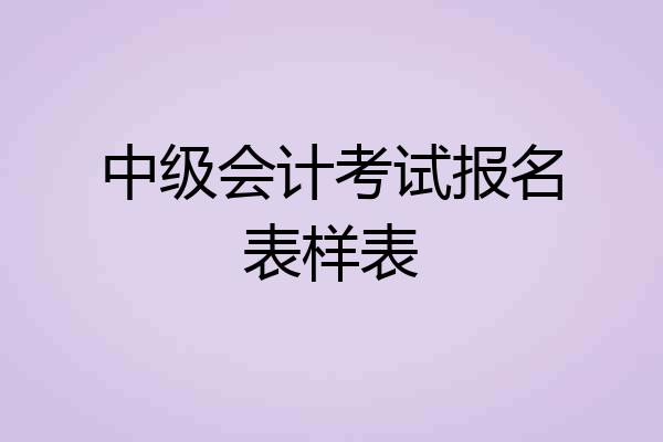 中级会计考试报名表样表