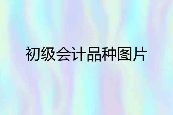 初级会计品种图片