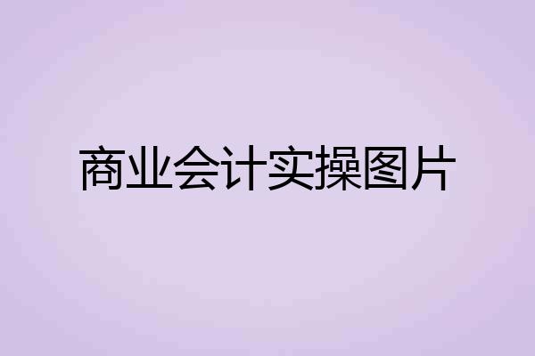 商业会计实操图片