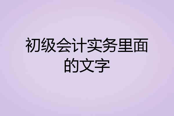 初级会计实务里面的文字