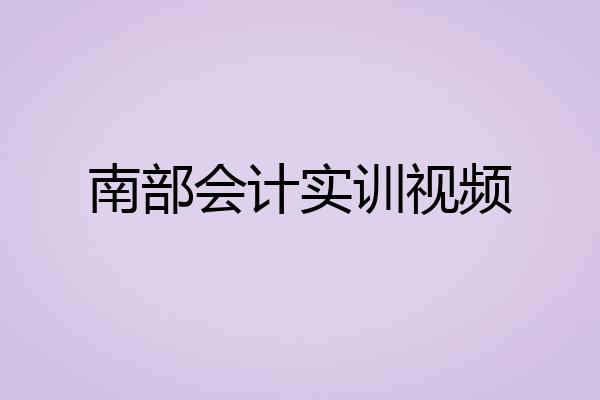 南部会计实训视频