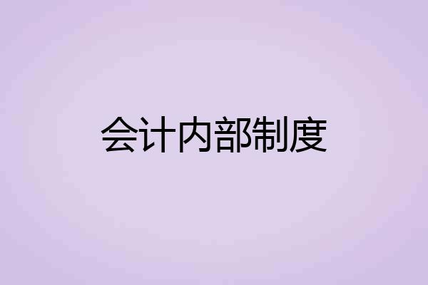 会计内部制度