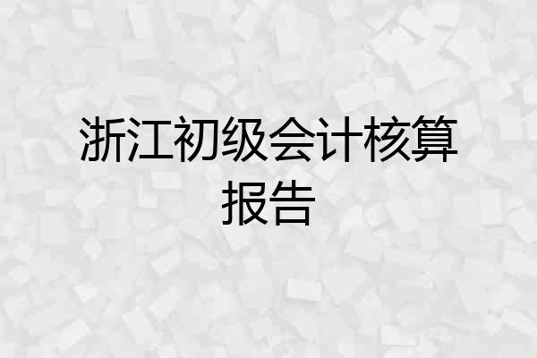 浙江初级会计核算报告