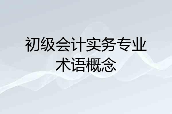 初级会计实务专业术语概念