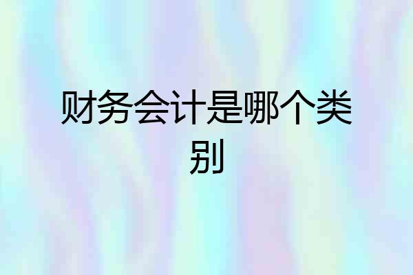 财务会计是哪个类别