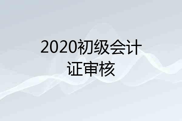 2020初级会计证审核