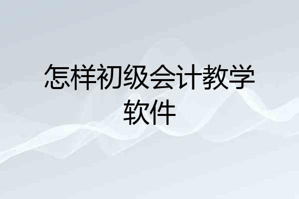 怎样初级会计教学软件