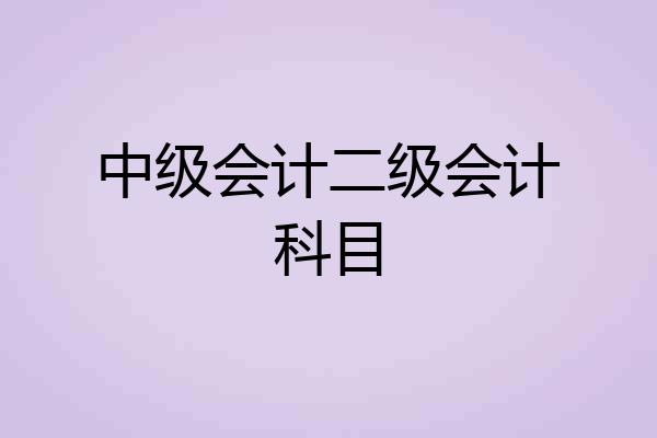 中级会计二级会计科目