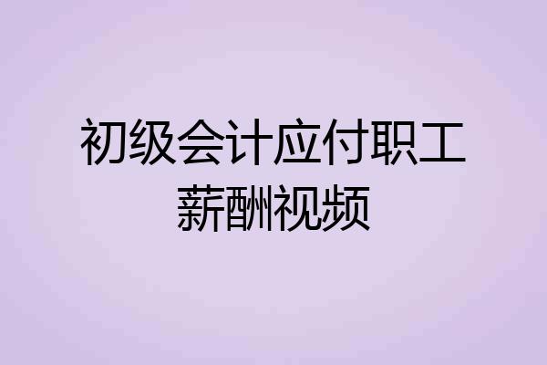 初级会计应付职工薪酬视频