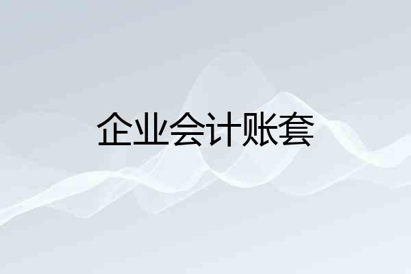 企业会计账套