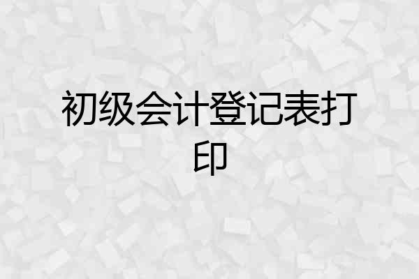 初级会计登记表打印