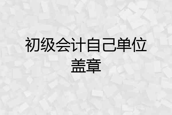 初级会计自己单位盖章