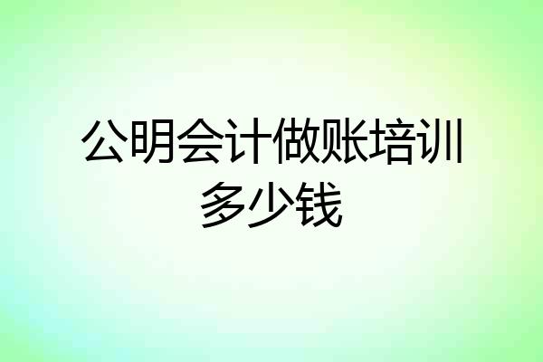 公明会计做账培训多少钱