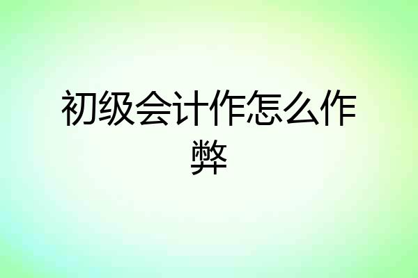 初级会计作怎么作弊