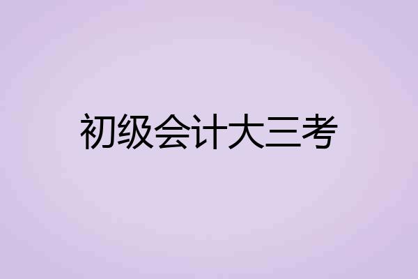 初级会计大三考