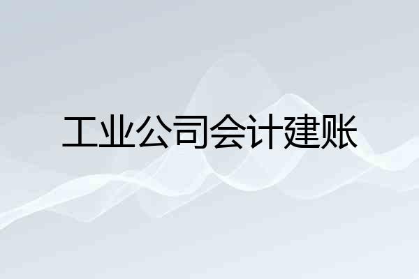 工业公司会计建账