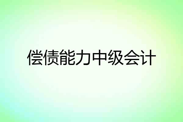 偿债能力中级会计