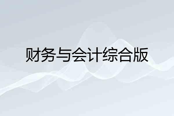 财务与会计综合版