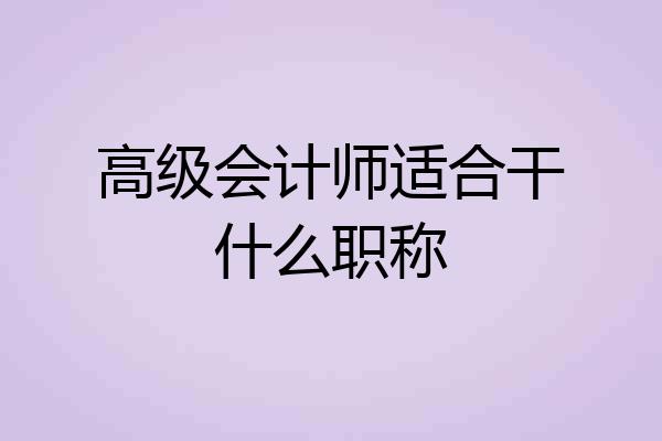 高级会计师适合干什么职称