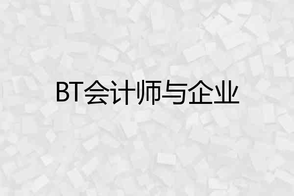 BT会计师与企业