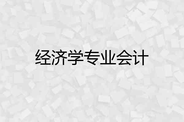 经济学专业会计