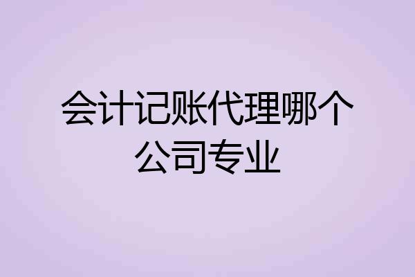 会计记账代理哪个公司专业