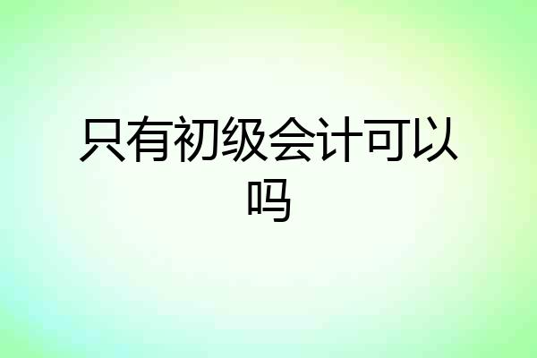 只有初级会计可以吗