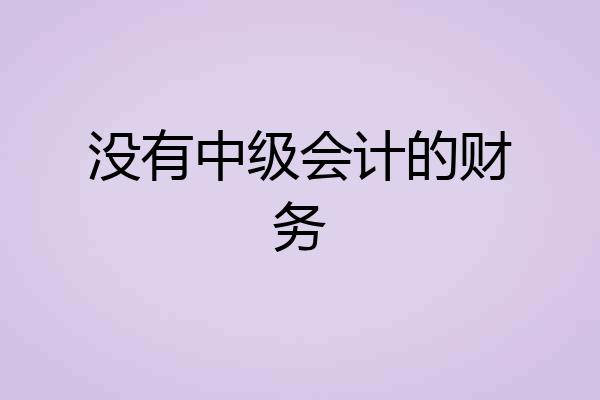 没有中级会计的财务