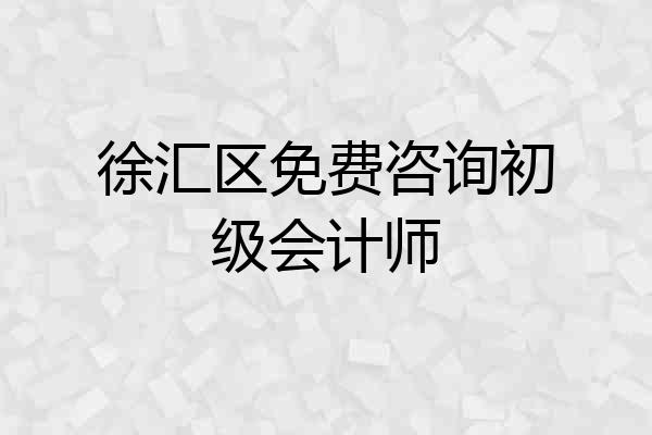 徐汇区免费咨询初级会计师