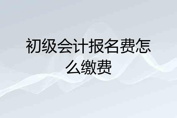 初级会计报名费怎么缴费