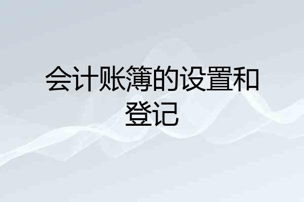 会计账簿的设置和登记