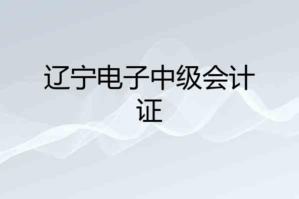 辽宁电子中级会计证
