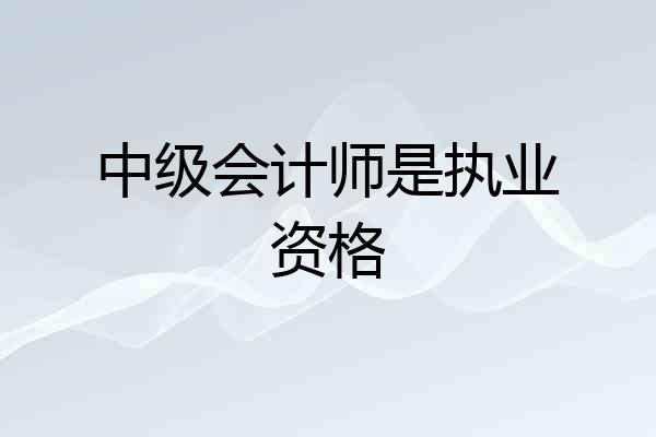 中级会计师是执业资格