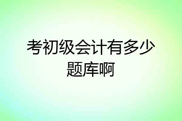 考初级会计有多少题库啊