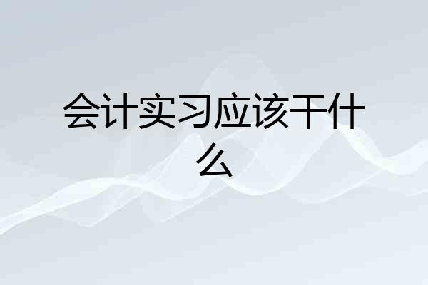 会计实习应该干什么