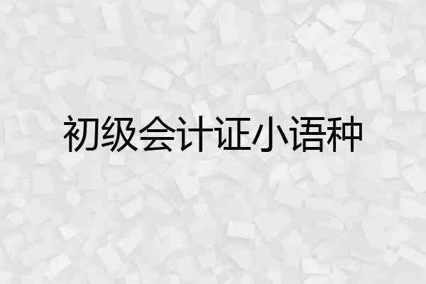 初级会计证小语种