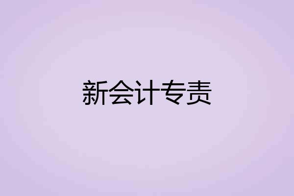 新会计专责