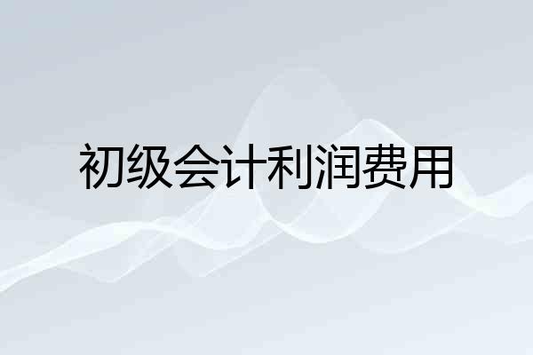 初级会计利润费用