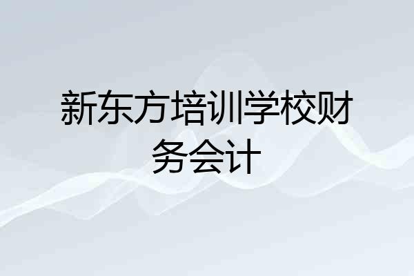 新东方培训学校财务会计