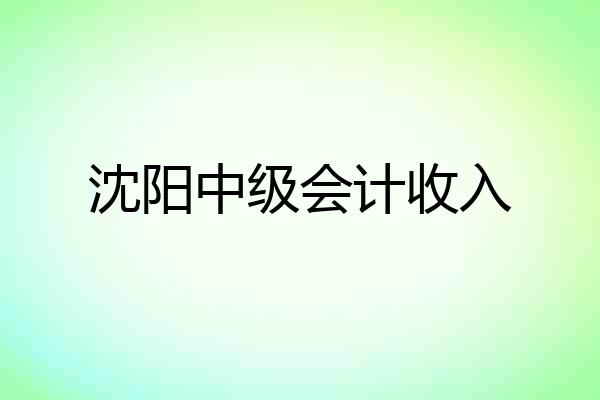 沈阳中级会计收入