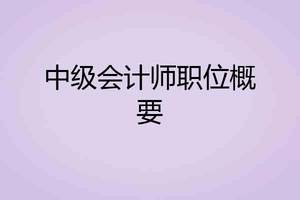 中级会计师职位概要