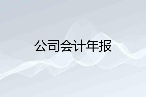 公司会计年报