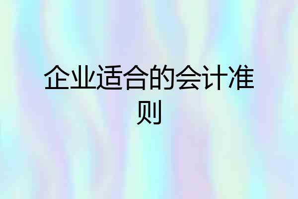 企业适合的会计准则