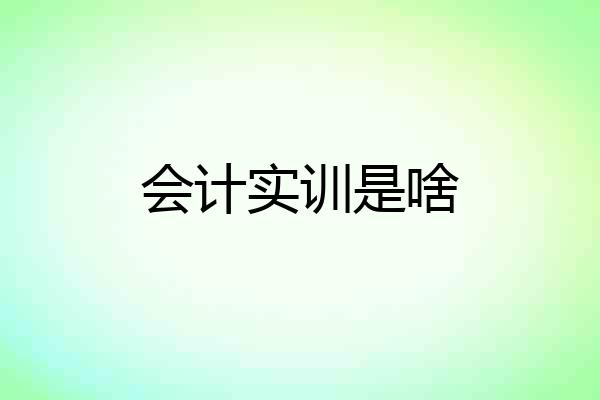 会计实训是啥