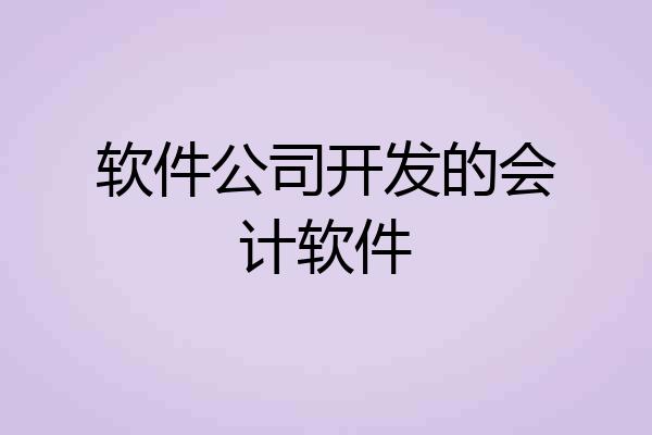 软件公司开发的会计软件