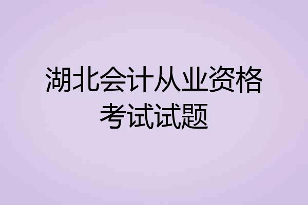 湖北会计从业资格考试试题