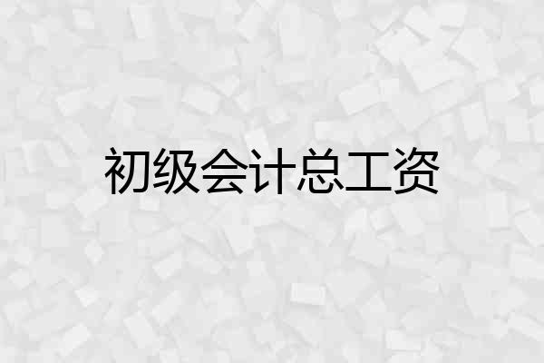 初级会计总工资