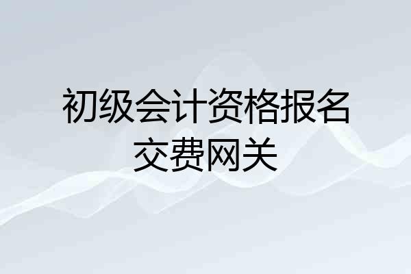 初级会计资格报名交费网关